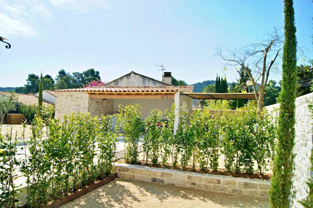 Willa La Maison D'Angele Saint Remy De Provence Zewnętrze zdjęcie